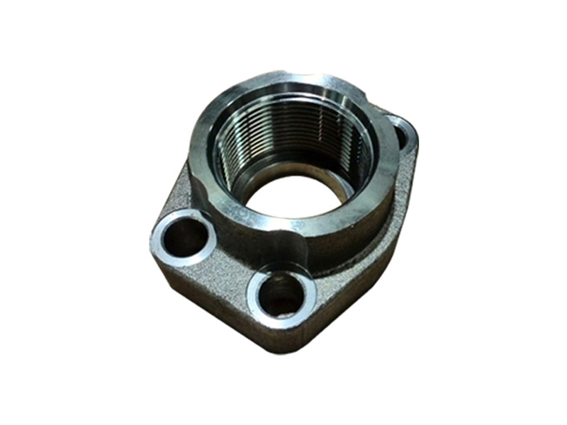 SAE pipe threaded flange